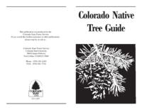 Colorado native tree guide