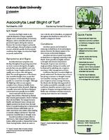 Ascochyta leaf blight of turf