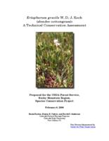 Eriophorum gracile W. D. J. Koch (slender cottongrass)