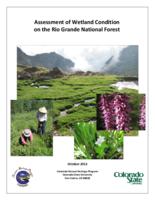 Assessment of wetland condition of the Rio Grande National Forest