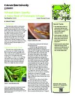 Wheat stem sawfly : a new pest of Colorado wheat