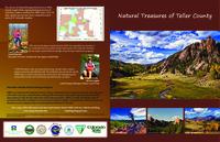 Natural treasures of Teller County