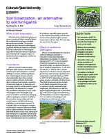 Soil solarizaton, an alternative to soil fumigants
