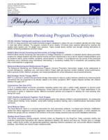 Blueprints promising programs descriptions