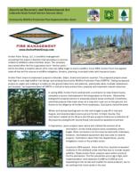 American Recovery and Reinvestment Act, Colorado State Forest Service success story. Anchor Point fire management