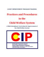 Procedures and practices in the child welfare system : a multi-disciplinary curriculum for improvement of the child welfare system