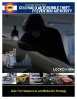 Auto theft awareness and reduction strategy