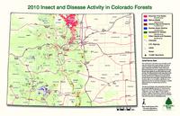 2010 insect and disease activity in Colorado forests
