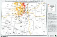 Colorado mountain pine beetle epidemic lodgepole pine 1996-2009