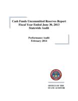 Cash funds uncommitted reserves report fiscal year ended June 30, 2013 statewide audit : performance audit