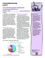 The whole-house approach to energy efficiency