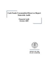 Cash funds uncommitted reserves report statewide audit : financial audit