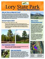 Lory State Park forest fuels mitigation project