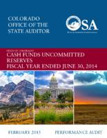 Cash funds uncommitted reserves report fiscal year ended June 30, 2014 : performance audit
