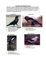 West Nile corvid submission ID chart