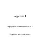 Final report on employment and community participation recommendations. Appendix I: Employment Recommendation B2: Supported Self-Employment