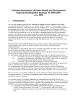 Capacity development strategy FY 2005-2007