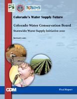 Statewide water supply initiative 2010 : final report