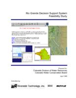 Rio Grande decision support system feasibility study