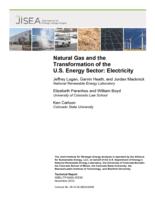Natural gas and the transformation of the U.S. energy sector: electricity