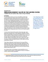 Reducing energy waste in the United States : conclusions from AEE's Industry Policy Forum on Energy Productivity