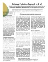 How do probation officers assess and manage recidivism and violence risk for probationers with mental health disorder? : an experimental investigation