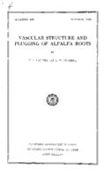 Vascular structure and plugging of alfalfa roots