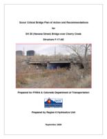 Scour critical bridge plan of action and recommendations for SH 30 (Havana Street) bridge over Cherry Creek, structure F-17-AE