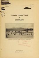 Turkey production in Colorado