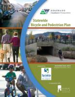 Statewide bicycle and pedestrian plan