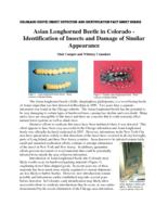 Asian longhorned beetle in Colorado : identification of insects and damage of similar appearance