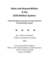 Roles and responsibilities in the child welfare system : a multi-disciplinary curriculum for improvement of the child welfare system