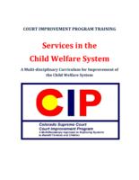 Services in the child welfare system : a multi-disciplinary curriculum for improvement of the child welfare system