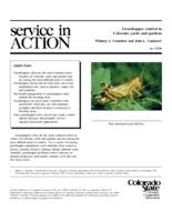 Grasshopper control in Colorado yards and gardens