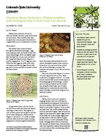 Western bean cutworm : characteristics and management in corn and dry beans