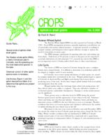 Aphids in small grains