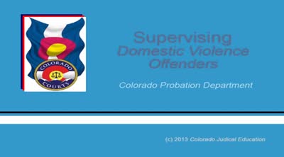 Supervising domestic violence offenders