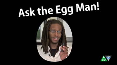 Ask the egg man