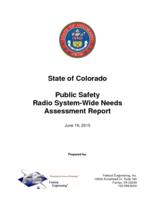 Public safety radio system-wide needs assessment report