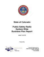 Public safety radio system-wide business plan report