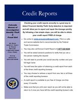 Credit reports