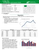 Craig city demographic and economic profile