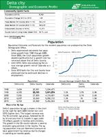 Delta city demographic and economic profile