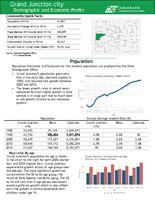 Grand Junction city demographic and economic profile