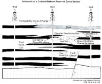 Geologic mapping and subsurface well log correlations of the late Cretaceous Fruitland Formation coal beds and carbonaceous shales : the stratigraphic mapping component of the 3M Project, San Juan Basin, La Plata County, Colorado. Figure 5: Schematic cros