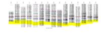 Geologic mapping and subsurface well log correlations of the late Cretaceous Fruitland Formation coal beds and carbonaceous shales : the stratigraphic mapping component of the 3M Project, San Juan Basin, La Plata County, Colorado. Appendix C: Figure E-1