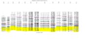 Geologic mapping and subsurface well log correlations of the late Cretaceous Fruitland Formation coal beds and carbonaceous shales : the stratigraphic mapping component of the 3M Project, San Juan Basin, La Plata County, Colorado. Appendix C: Figure E-2A