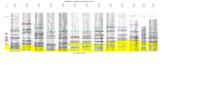 Geologic mapping and subsurface well log correlations of the late Cretaceous Fruitland Formation coal beds and carbonaceous shales : the stratigraphic mapping component of the 3M Project, San Juan Basin, La Plata County, Colorado. Appendix C: Firgure E-3