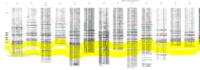 Geologic mapping and subsurface well log correlations of the late Cretaceous Fruitland Formation coal beds and carbonaceous shales : the stratigraphic mapping component of the 3M Project, San Juan Basin, La Plata County, Colorado. Appendix C: Figure E-4