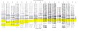 Geologic mapping and subsurface well log correlations of the late Cretaceous Fruitland Formation coal beds and carbonaceous shales : the stratigraphic mapping component of the 3M Project, San Juan Basin, La Plata County, Colorado. Appendix C: Figure EW-1